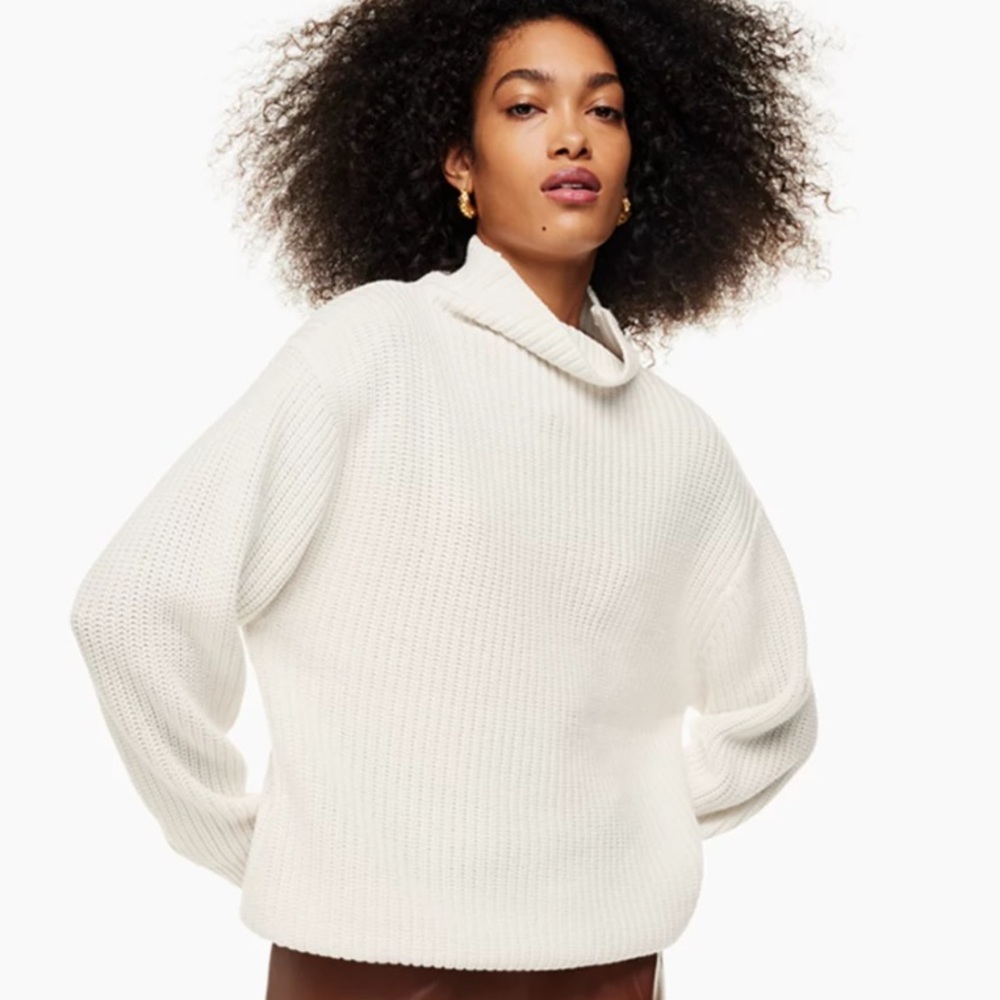 Aritzia Montpelier Sweater - M